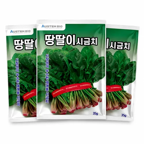 주주씨앗 땅딸이시금치 씨앗 35g 3봉 무료배송 겨울 월동 재래종 섬초 종자 씨