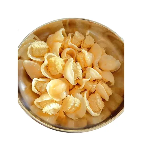 캐논볼 미니 해파리(염장), 1개, 1kg