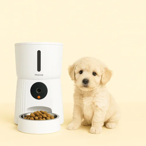 모이쯔 강아지 고양이 스마트자동급식기 4L 어플연동 정량배식 홈켐, 1개, 화이트, 4L