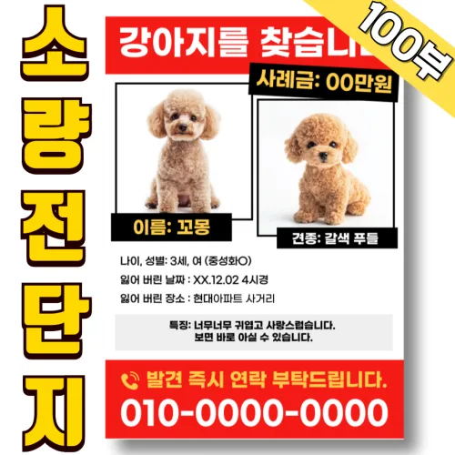 전단지 인쇄 제작 전단 출력 칼라 100g스노우 A4 100부 칼라 인쇄 단면 인쇄
