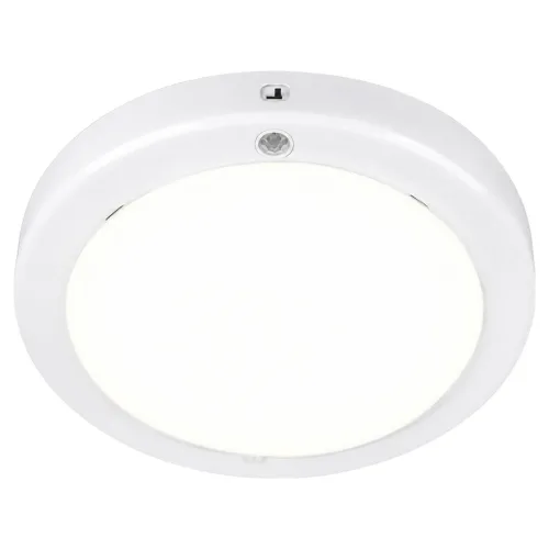이엘라이팅 LED 현관 센서등 20W, 화이트 + 주광색, 1개