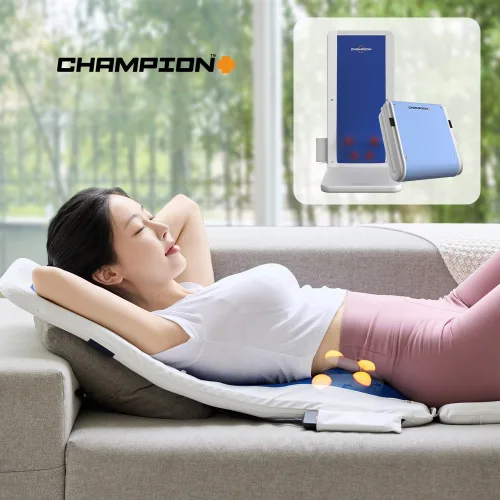 챔피온 안마기 안마매트 플렉소 마사지매트 전신 마사지기 7003F, 화이트+블루, CE-7003F
