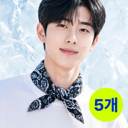 리움원 냉동 쿨스카프 넥쿨러 아이스 목도리, 5개, 딥블랙