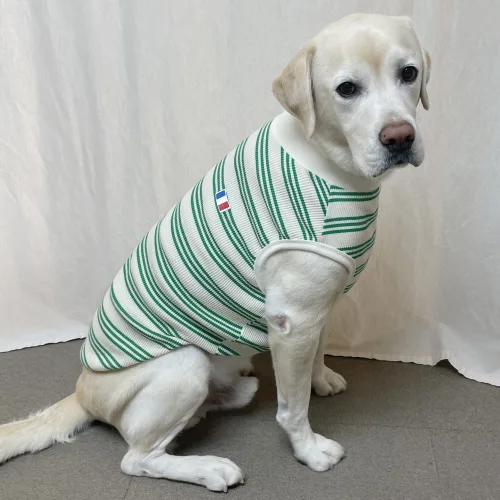 도기스타 소형견 중형견 대형견 민소매 명품 강아지 티셔츠