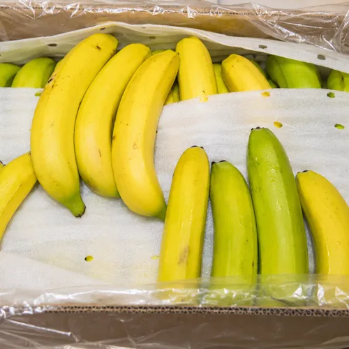 대용량 고당도 낱발바나나, 1개, 6kg 낱발바나나