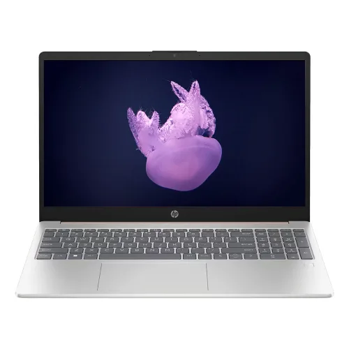 HP 2025 노트북 15 라이젠5 라이젠 7000 시리즈, 15-fc1058AU, WIN11 Home, 8GB, 256GB, Natural Silver