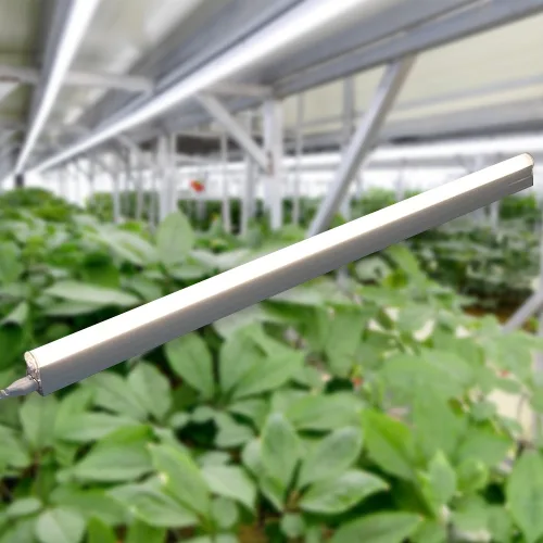 LED 식물등 T5 10W 식물 조명 플랜테리어 홈가드닝, 1개, 주백색