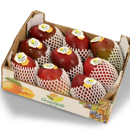프리미엄 애플망고 달콤한 망고 선물세트, 1개, 2kg 특대(4-5과)