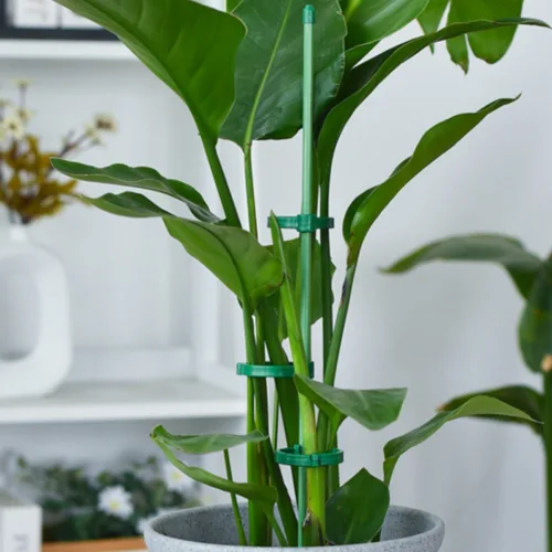 두두타운 높이조절 2단고정 식물지지대 90cm, 10개