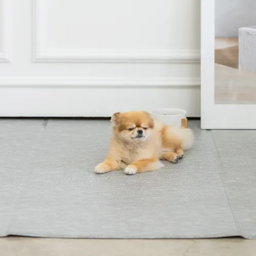 디팡 강아지 고양이 미끄럼방지매트, 시크브릭, 1개
