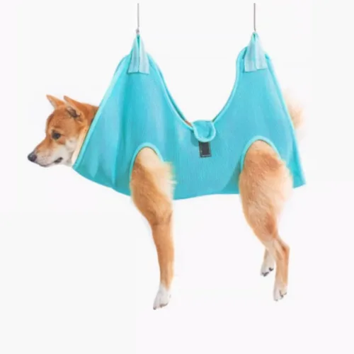 고냥냥 강아지 고양이 발톱 깎이 거치대, 파랑, 1개