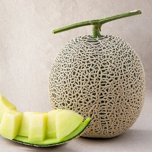 [로켓프레시] 새벽경매 머스크메론, 1.5kg, 1개