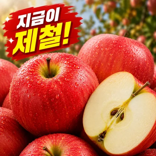 [지금이야] 파격특가 고당도 홍로 햇사과