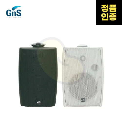 GNS(지앤에스) GMS-20 상업매장용 벽부형 패시브 스피커, 블랙