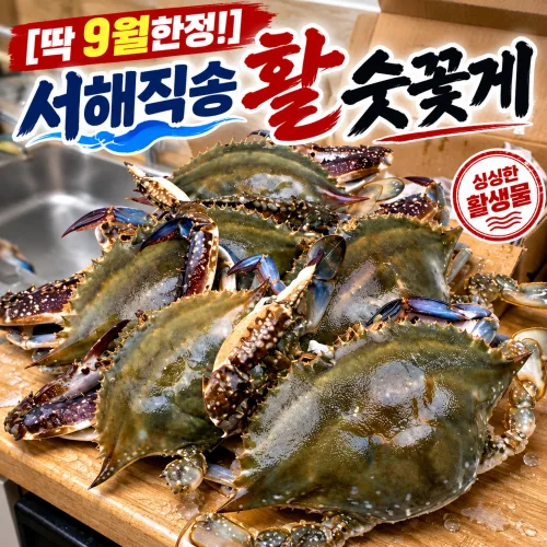 [딱9월한정!] 제철특가 서해직송 팔팔 활숫꽃게