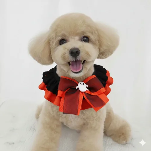 하니펫 반려동물 귀요미스카프 할로윈레이스