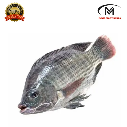 TILAPIA FISH 틸라피야 800G UP,1개 미얀마산, 1개, 800g
