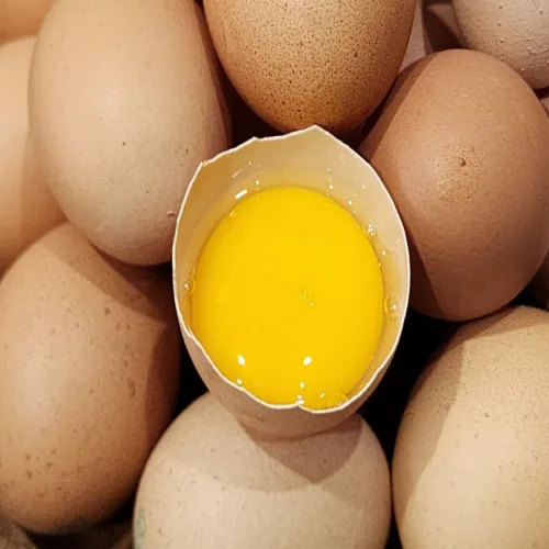 자연에서 온 건강한선물, 동물복지 유정란(난각번호1번), 1개, 20구