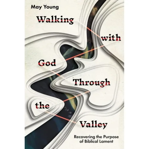WALKING WITH GOD THROUGH THE VALLEY (PAPERBACK)
