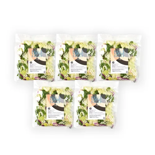 프레시온 탄산세척 데일리 얌얌 야채 샐러드 70gX5팩, 70g, 10개