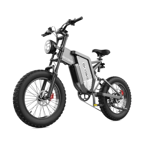 idotata X20 전기자전거 2000W 48V 35Ah 배터리 최고속도 55km/h 출퇴근용 배달용