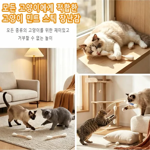 면봉 모양 고양이 장난감 세트 상호작용 장난감 재미있고 즐거운 실내 고양이 운동 및 놀이용 씹기 장난감, 6개, 하양