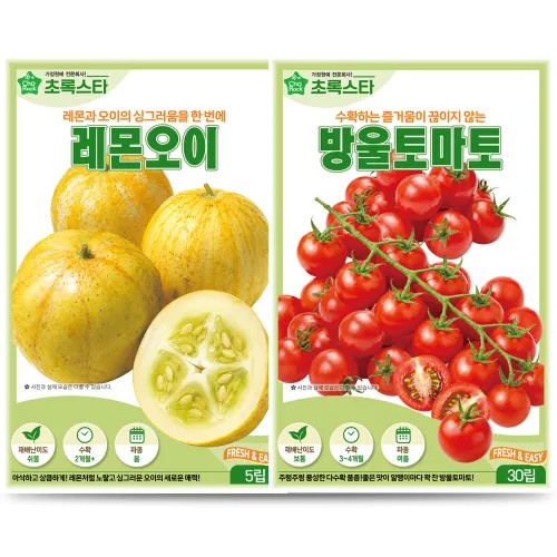 열매채소 키트 초록스타 레몬오이 5립 + 방울토마토 30립, 10개
