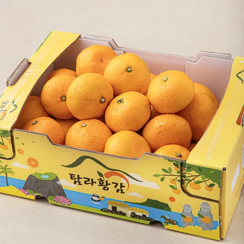 탐라황감 당도선별 10brix 하우스감귤, 2kg(로열과), 1개