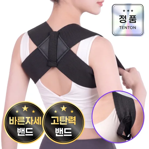 텐톤 남녀공용 바른자세 밴드 어깨 등 서포트밴드pro, 1개
