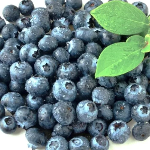 블랙쵸코베리 국산 생과 아로니아 시즌종료 후 급속냉동, 1박스, 1kg(특)