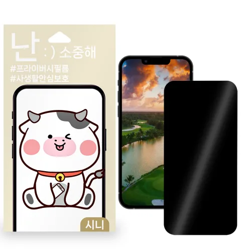 아이폰11 프로 맥스 사생활보호필름 핸드폰필름 액정보호필름, 2개